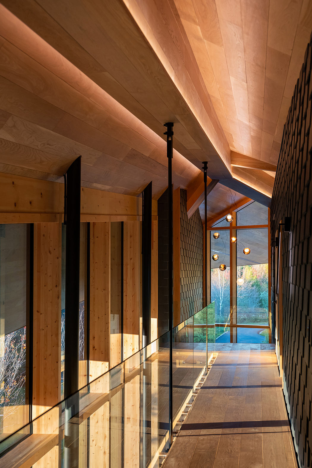 A modern, wooden hallway with high ceilings, large windows, and hanging light fixtures.