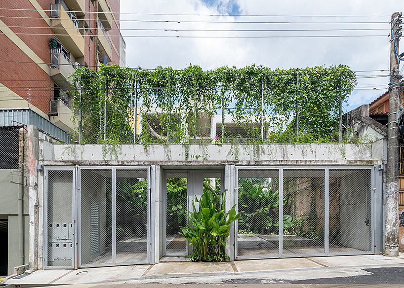 Striking glass facade with hanging greenery, creating an open urban garden oasis.