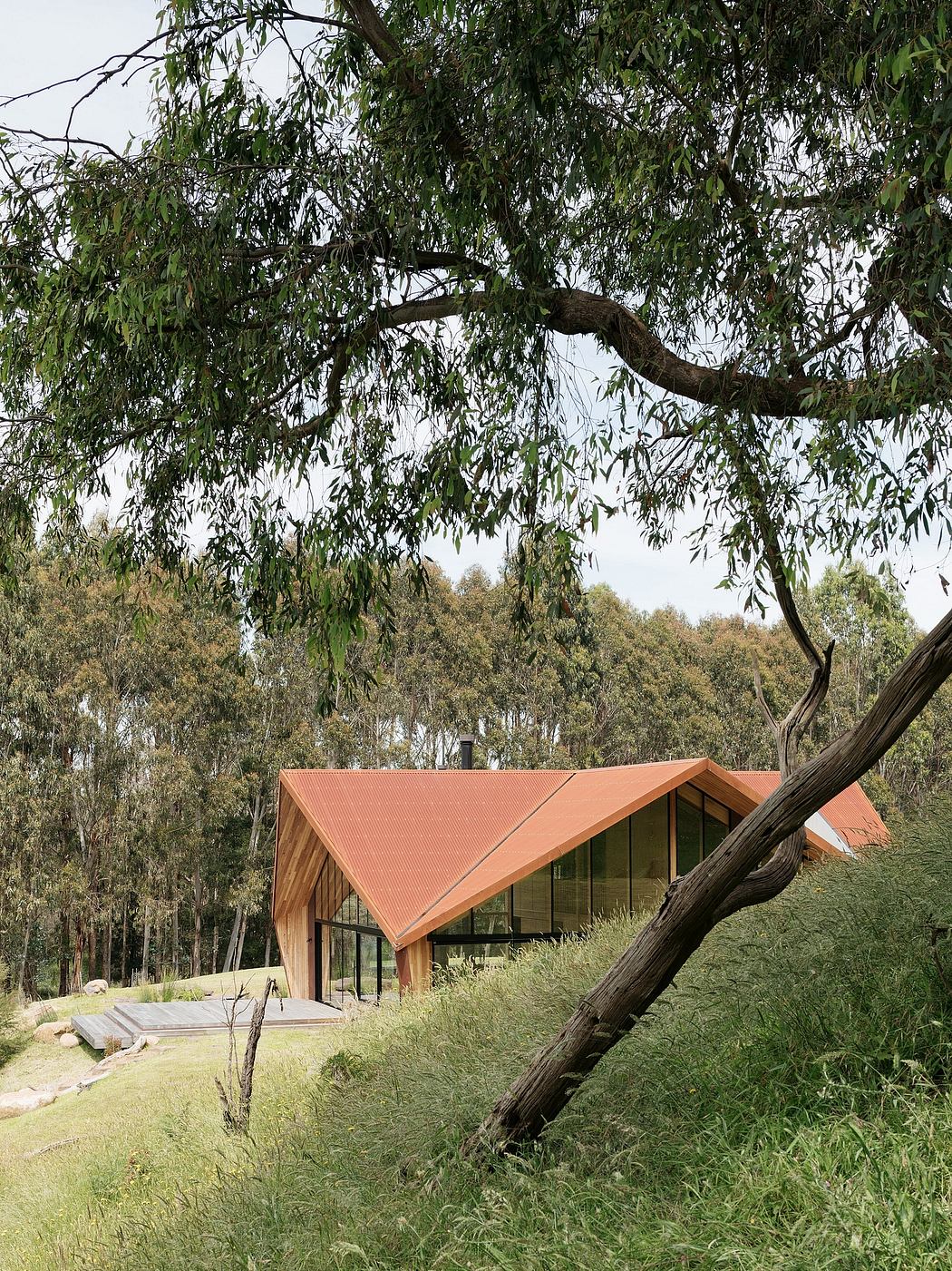 A modern wooden cabin nestled in a lush green forest, with large windows and a pitched roof.