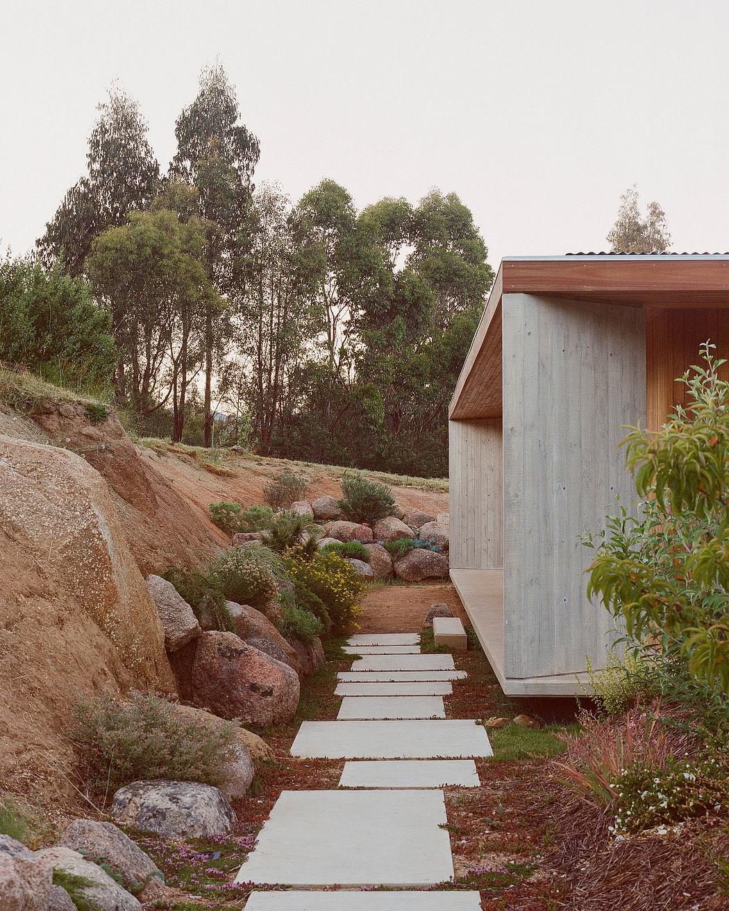 A rustic wooden cabin nestled in a lush forest, with a winding stone path leading to the entrance.