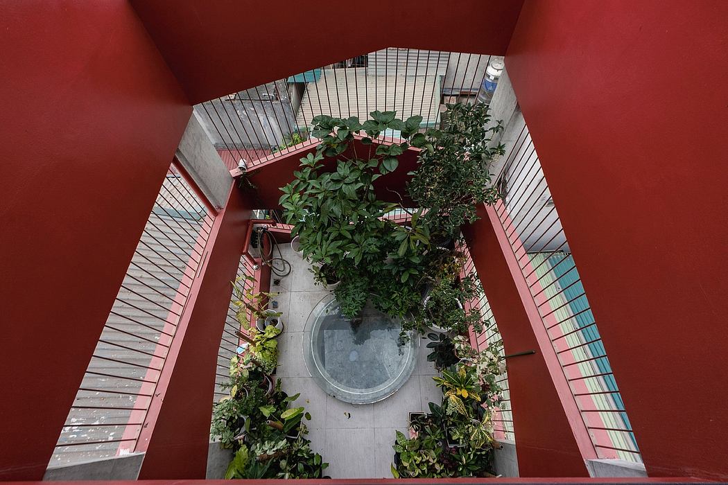 Vibrant red walls frame an eclectic indoor garden enclosed by a wire mesh structure.
