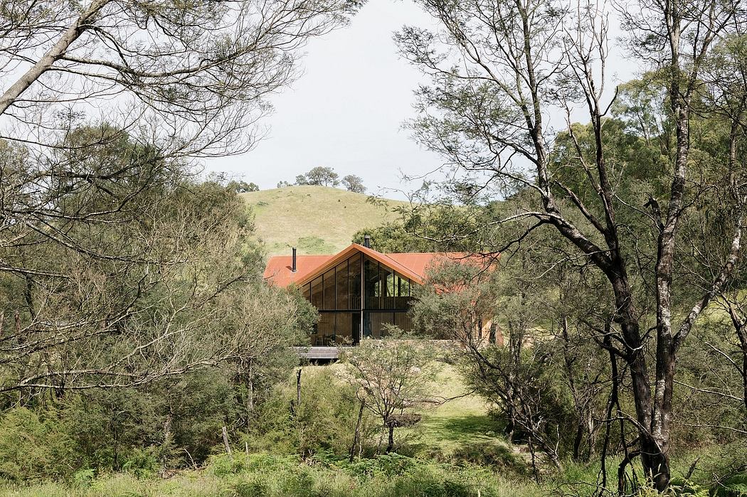 A modern cabin-style home nestled in a lush, forested landscape.