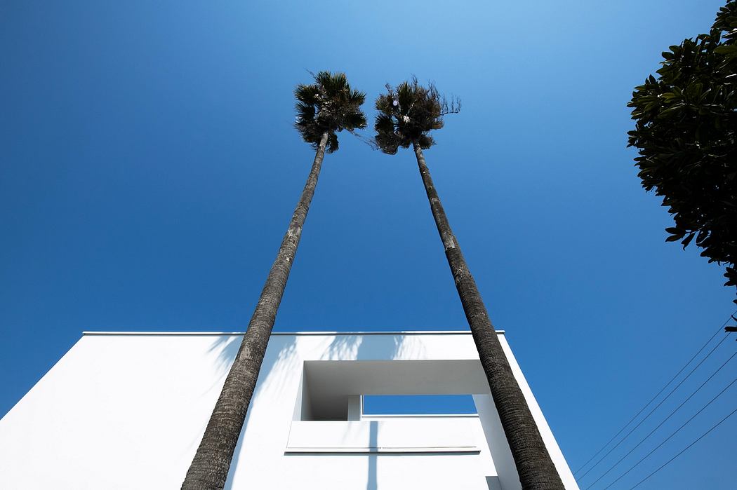 Two tall palm trees stand against a bright blue sky, framing a modern white building with clean architectural lines.