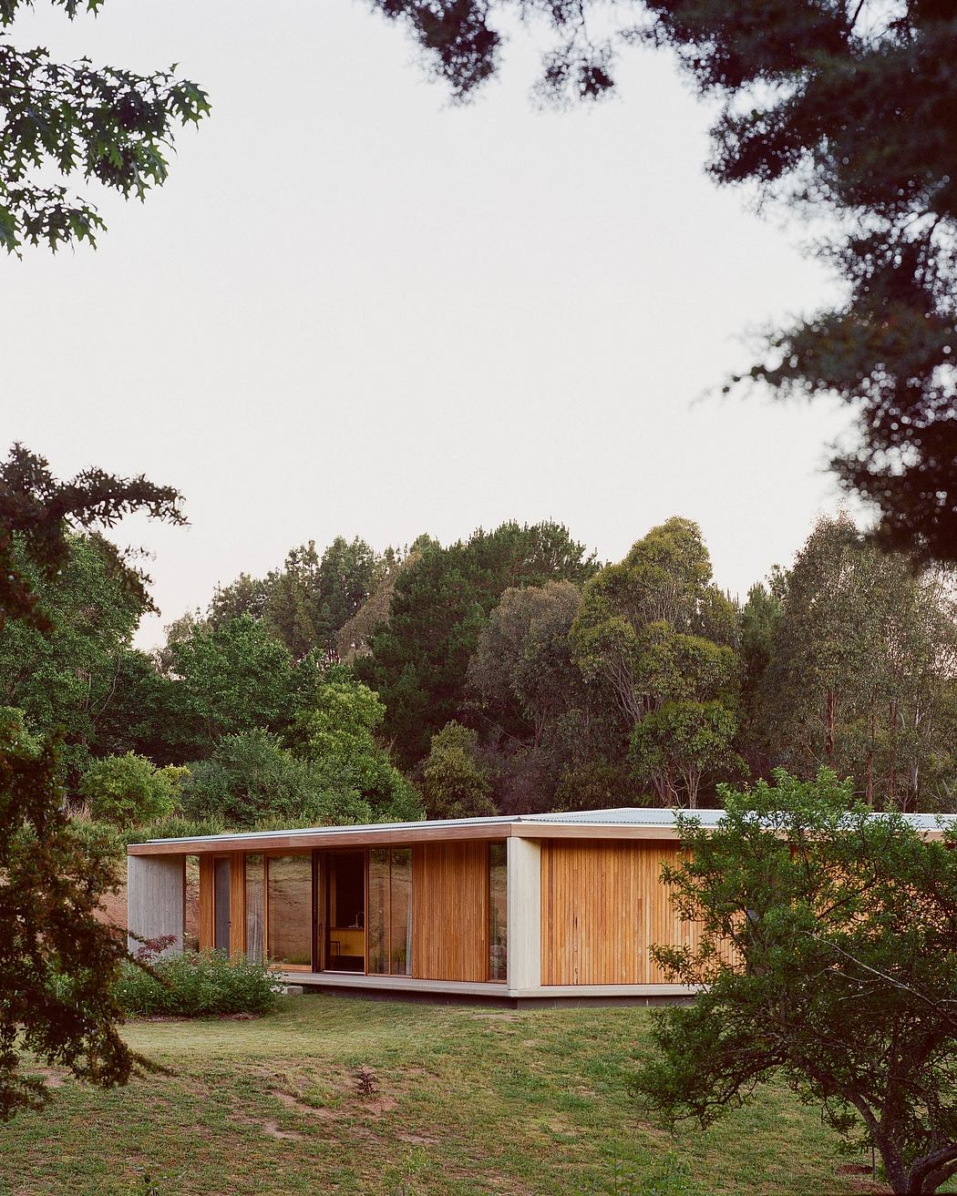 A modern, wooden cabin nestled in a lush, forested landscape with expansive glazing.