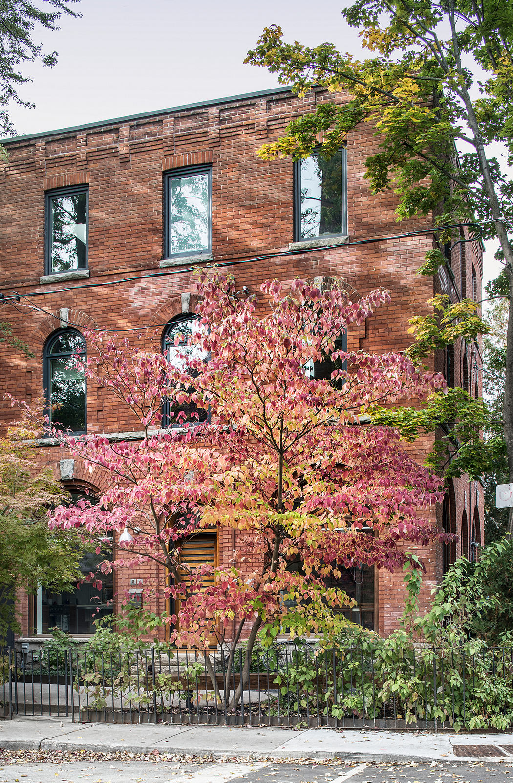 A brick building with large windows and a tree in vibrant autumn colors in the foreground.