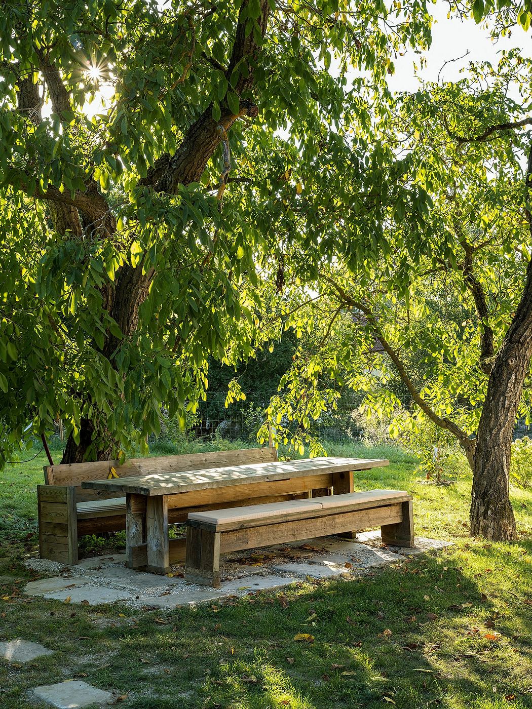 A rustic, wooden picnic table and benches nestled under a canopy of lush, green foliage.