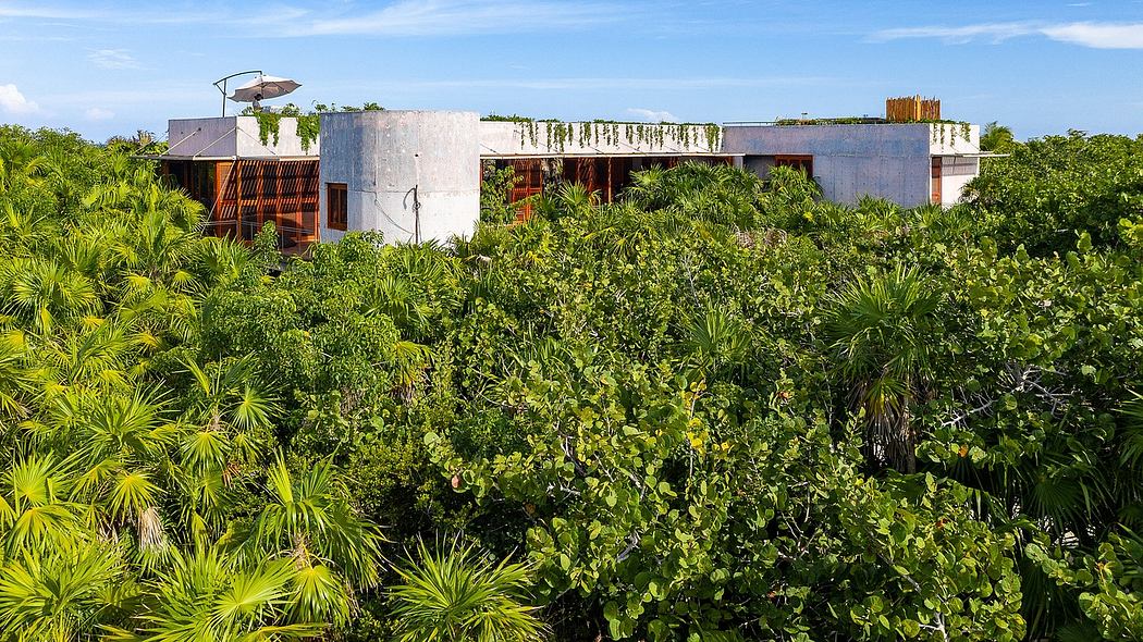 A modern, eco-friendly building surrounded by a lush, tropical garden. Wooden structures and greenery.