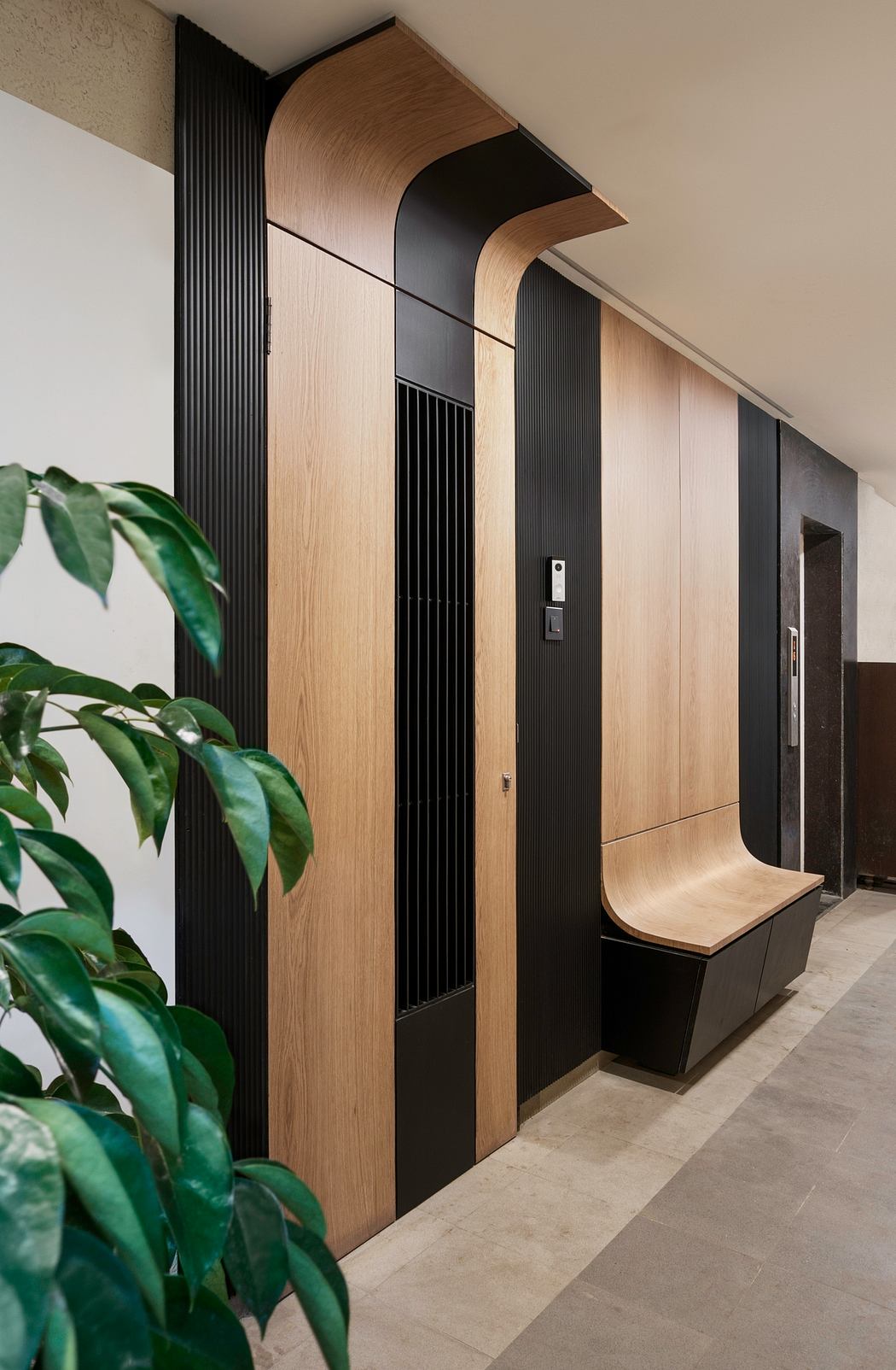 A modern hallway with curved wooden panels, black accents, and a potted plant.