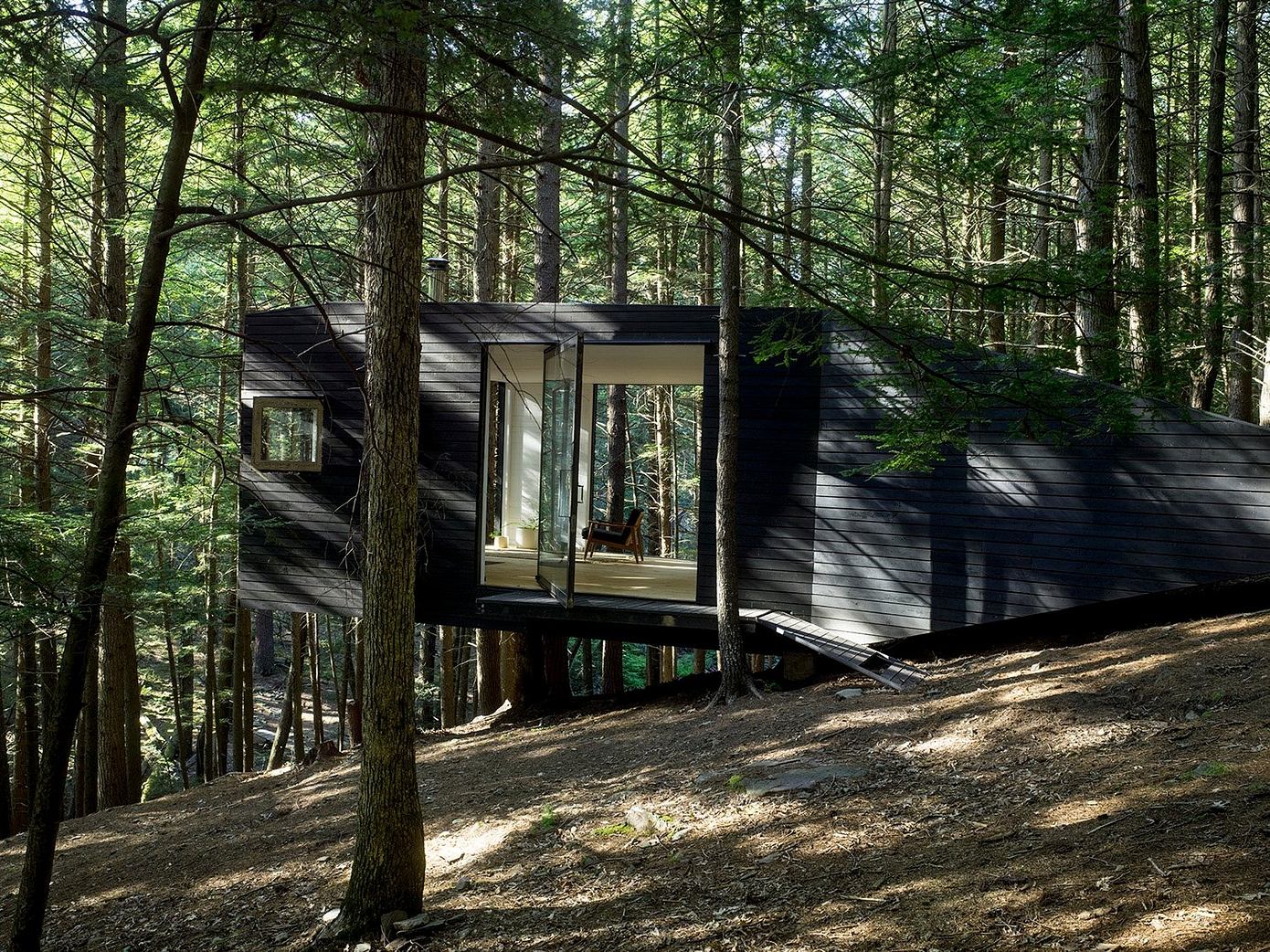 Half-Tree House: Unique Cabin Built Among Trees