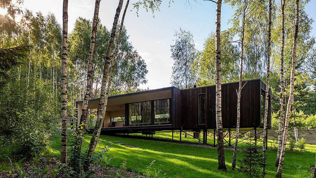 A modern, wooden, elevated cabin surrounded by lush greenery and birch trees.