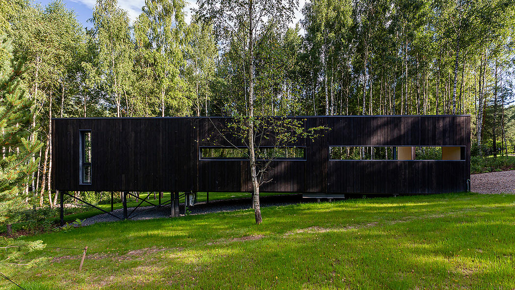 A modern, black-clad forest cabin elevated on a grassy knoll, with large windows.