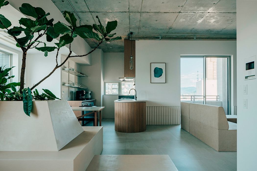A modern, minimalist kitchen with concrete floors, built-in shelves, and a large plant.