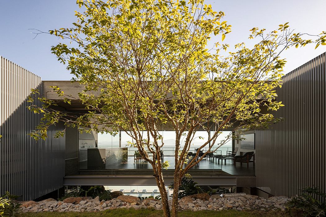 Dramatic glass walls frame a flourishing tree within a modern architectural setting.