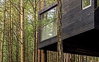 007-half-tree-house-unique-cabin-built-among-trees.jpg