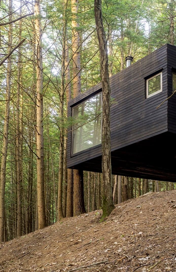 A modern cabin nestled in a lush forest, featuring large windows and a sleek, dark exterior.