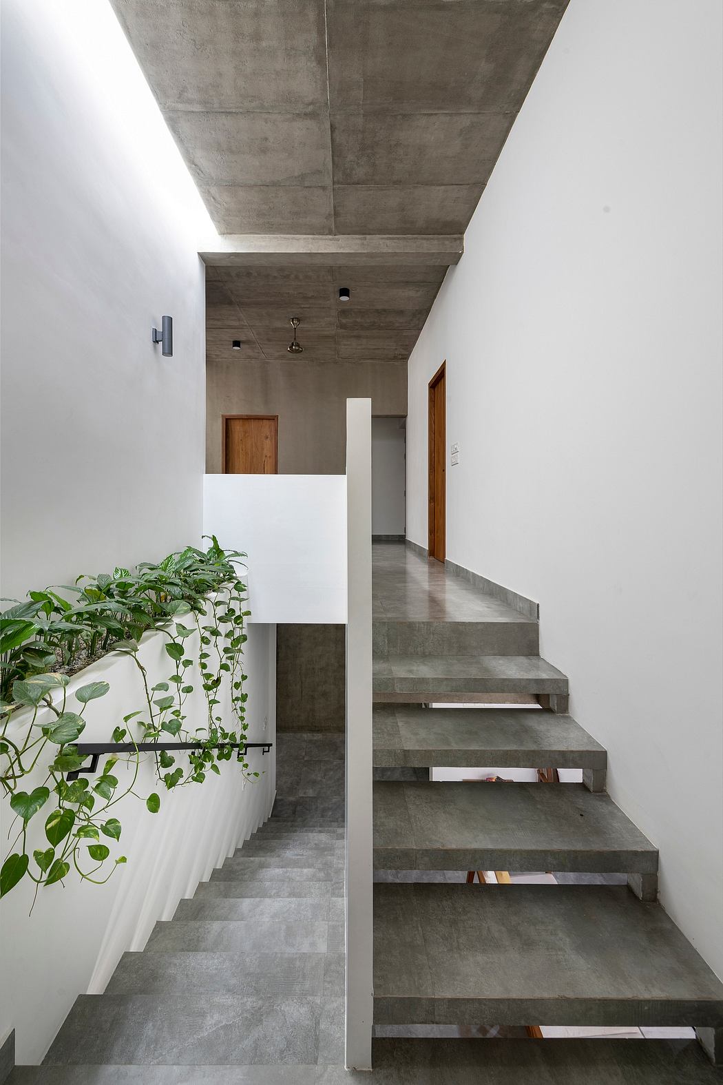 A modern concrete staircase with a potted plant at the bottom, leading to a wooden door.