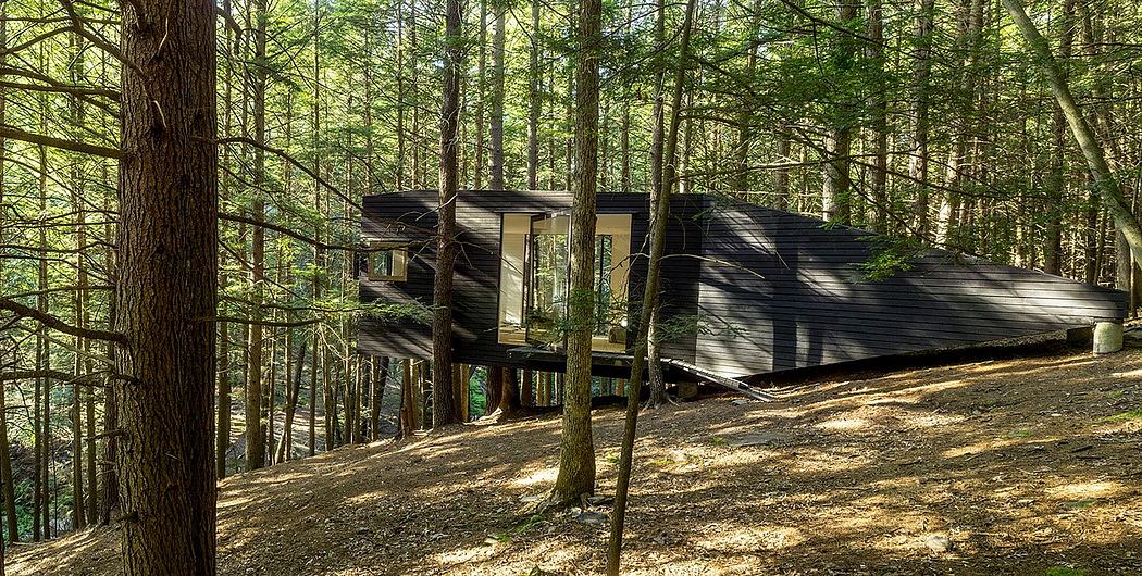 A rustic cabin nestled among towering trees, with a wooden exterior and a secluded location.