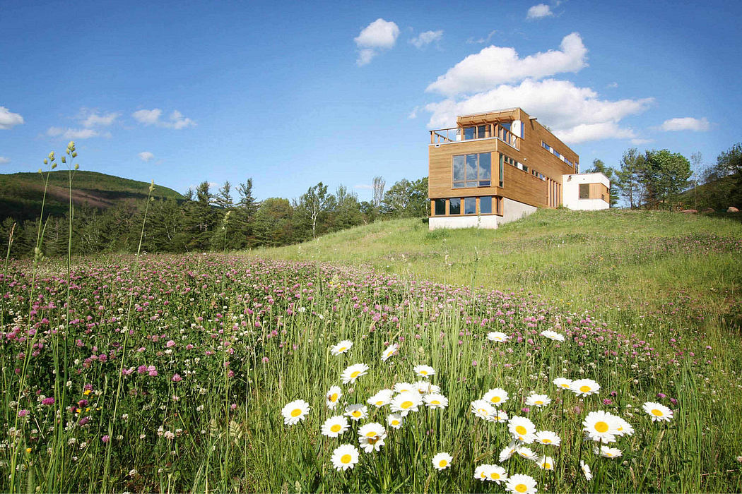 Modern wooden house on a hillside surrounded by a lush meadow filled with vibrant wildflowers.