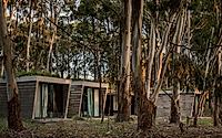 010-forest-house-embracing-nature-with-sustainable-design.jpg
