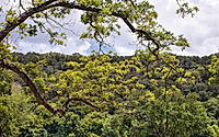 010-river-hills-residence-lakeside-retreat-in-austin.jpg