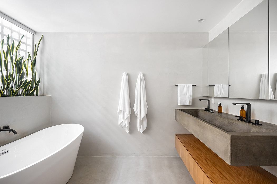 Modern bathroom with minimalist design, concrete vanity, freestanding tub, and greenery accent.