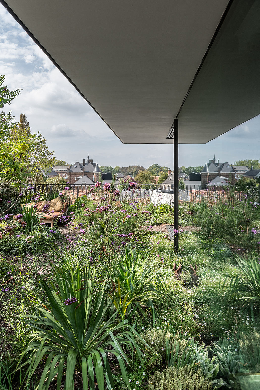 A lush garden with a modern pergola structure overlooking a residential neighborhood.