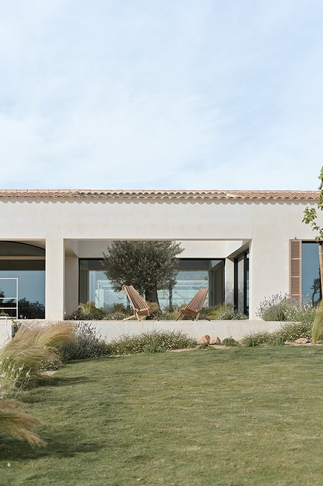 Modern Mediterranean-style villa with an olive tree, wooden chairs, and lush landscaping.