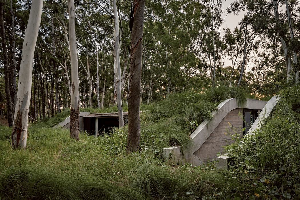Weathered concrete structure blends seamlessly into lush, overgrown greenery.