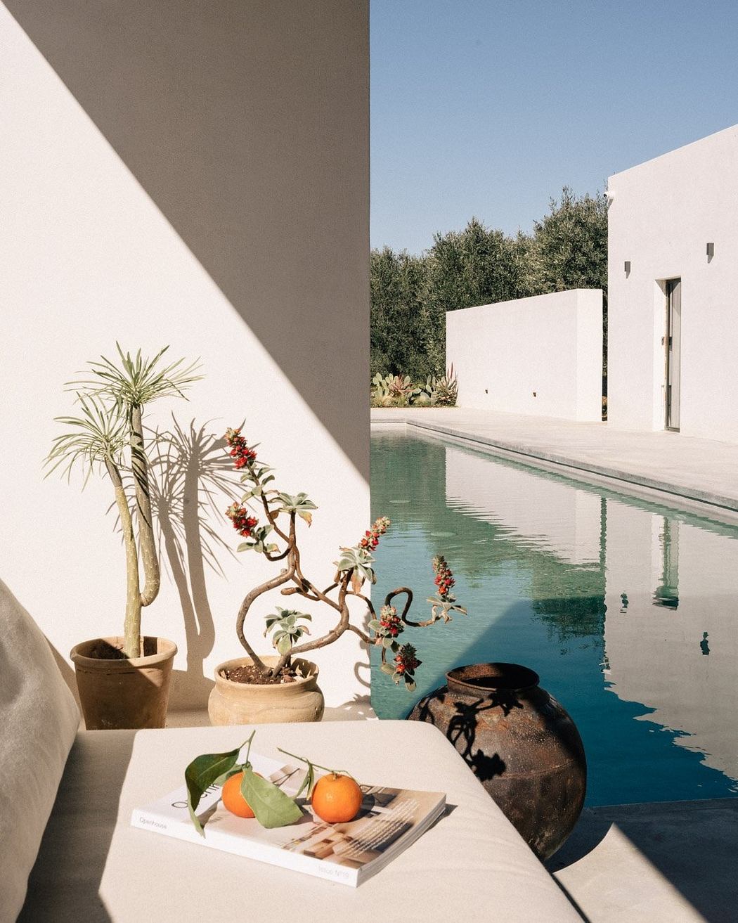 Serene poolside setting with minimalist architecture, potted plants, and still life arrangement.