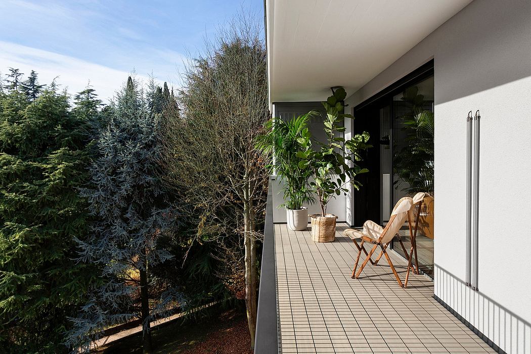 Contemporary home's covered terrace overlooking lush evergreens, with modern furniture and potted plants.