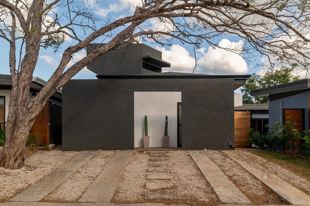 Modern, minimalist architecture with dark exterior, stepped entryway, and potted cacti.