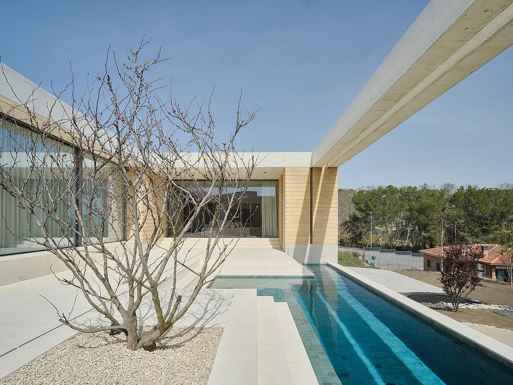 Contemporary pool surrounded by minimal architecture and a bare tree branch.