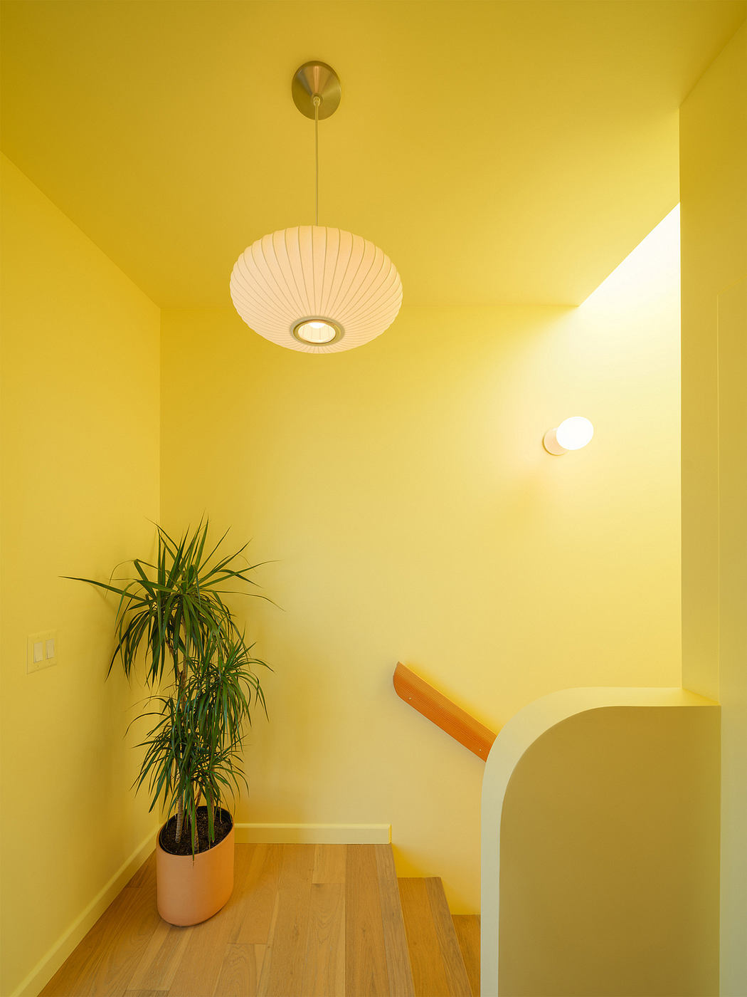 Cozy yellow-toned room with a hanging pendant lamp and a potted plant in the corner.