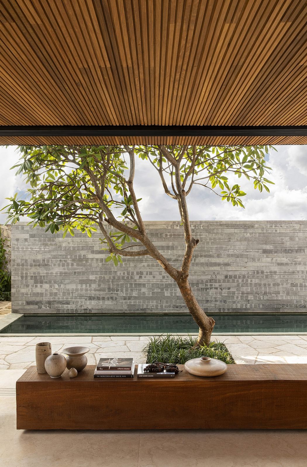 A lush indoor tree framed by a slatted wooden canopy, surrounded by books, ceramics, and greenery.