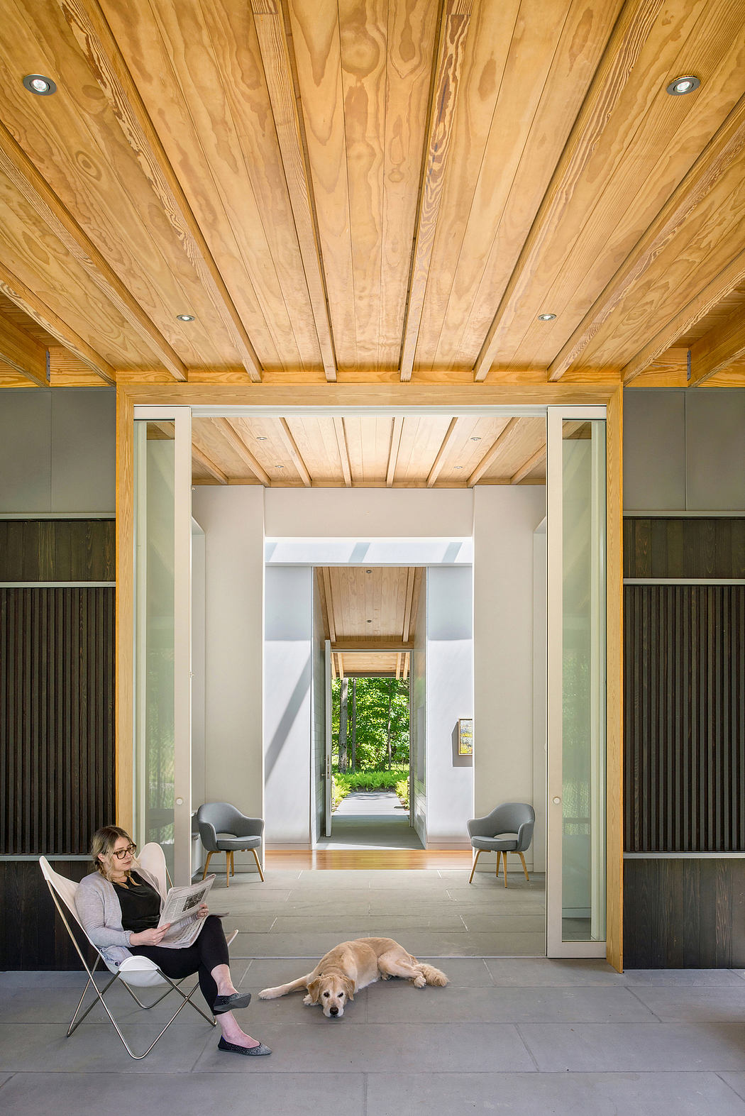 The image showcases a modern, open-concept interior with a wooden ceiling, large windows, and minimalist furniture.