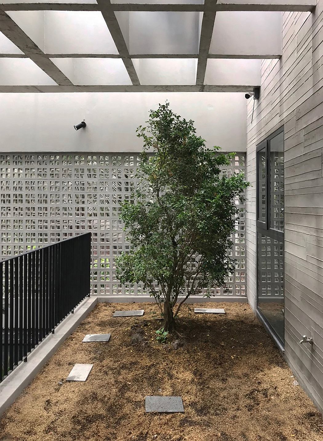 An indoor courtyard with a potted tree, metal trellises, and a minimalist design.