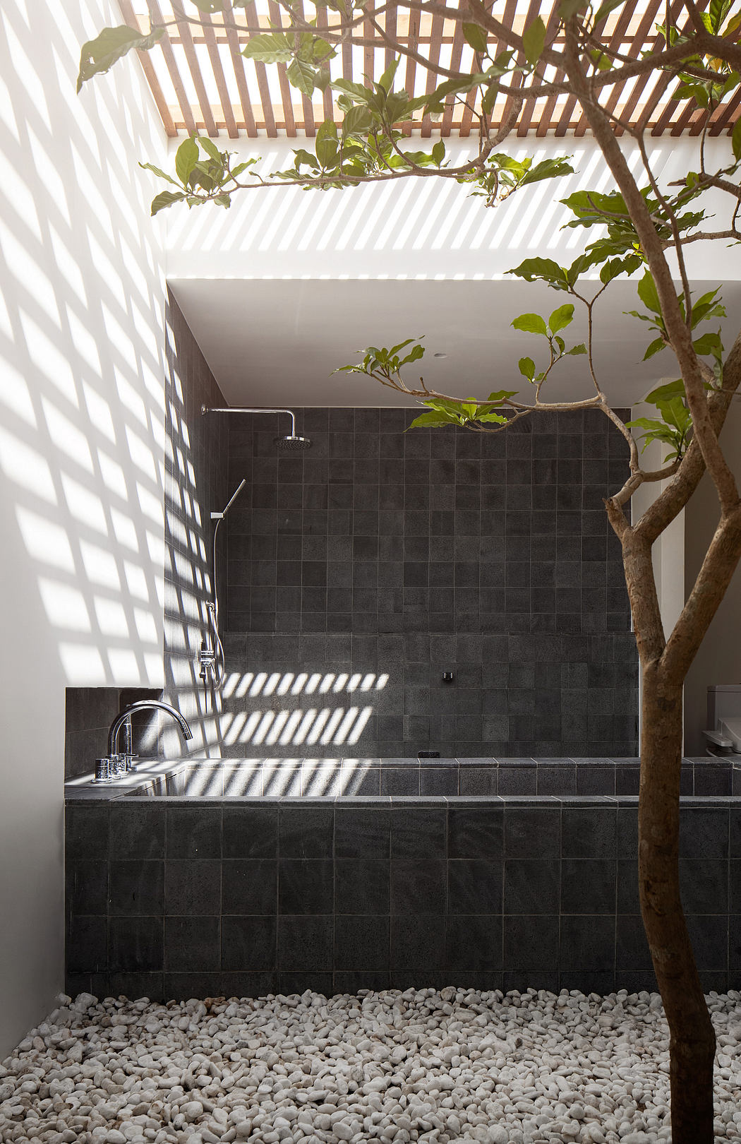 A modern and minimalist bathroom design featuring black tiled walls, a sleek faucet, and a small tree growing inside.