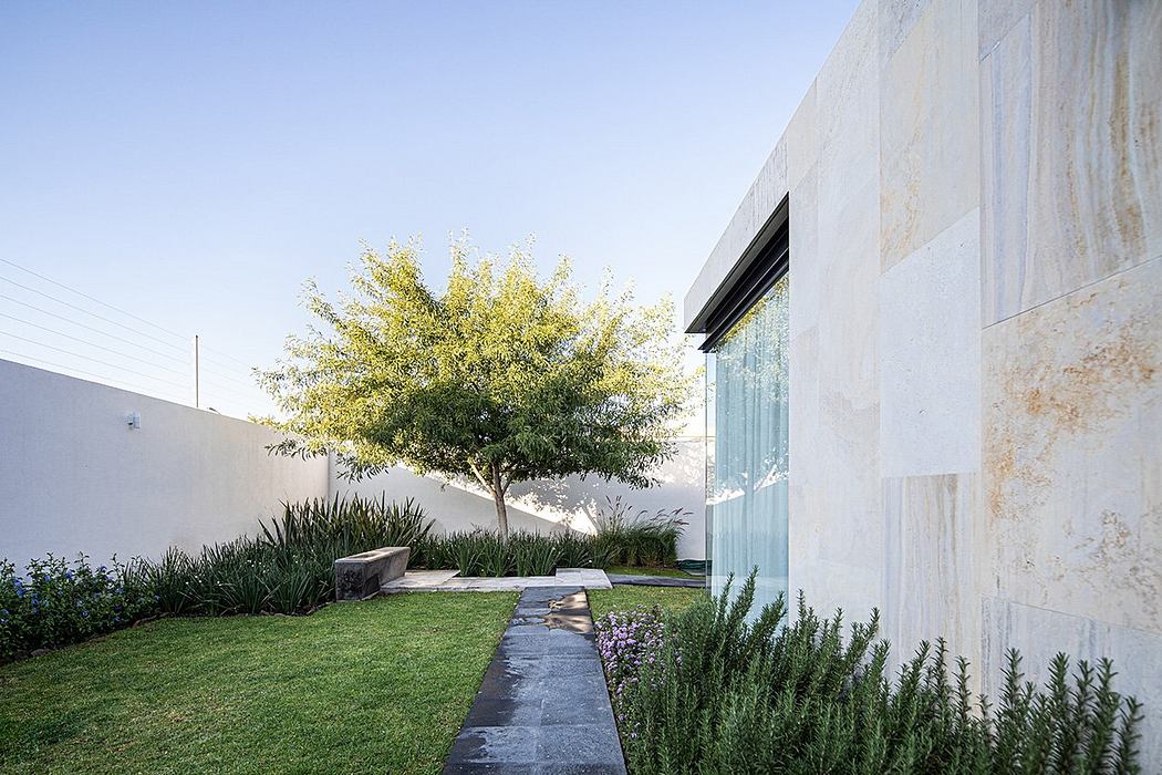 Minimalist concrete building with glass facade, surrounded by landscaping and a tree.
