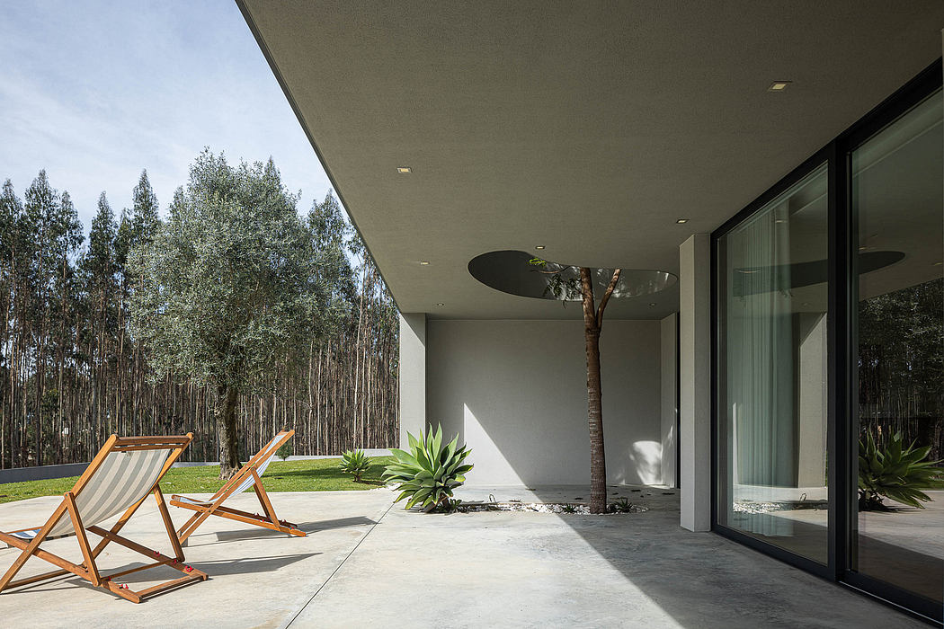 Sleek modern architecture with wood-framed loungers, lush greenery, and glass walls.