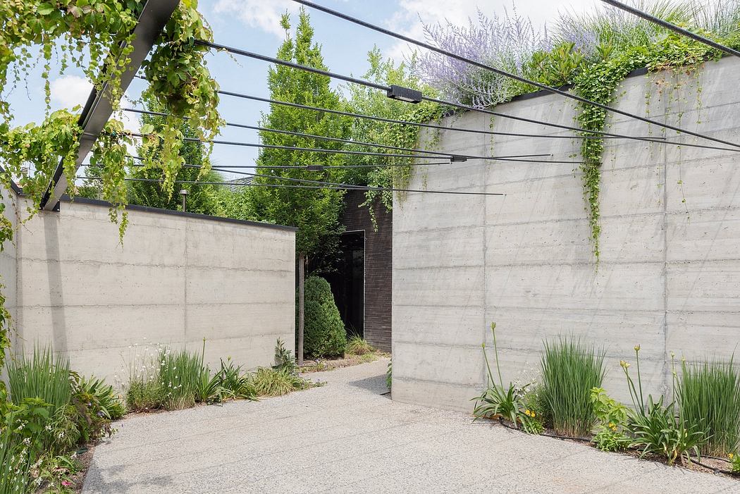 Serene walkway flanked by concrete walls, lush greenery, and a geometric trellis overhead.
