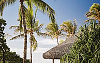 013-kona-village-resort-discover-the-essence-of-hawaiian-wellness.jpg
