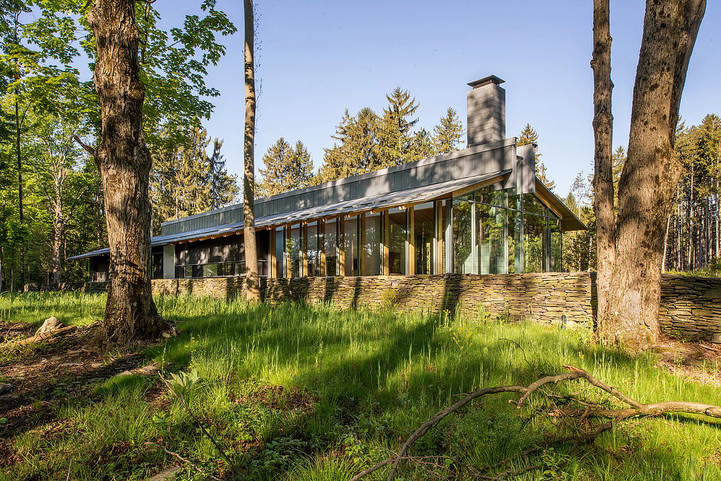 Rustic modern cabin nestled in lush forest, with expansive glass walls and stone facade.