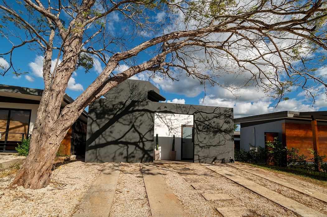 A modern architectural design with minimalist exterior, contrasting with the weathered tree branches overhead.