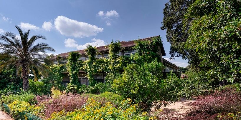 A lush, overgrown hotel surrounded by vibrant tropical foliage and colorful flowers.