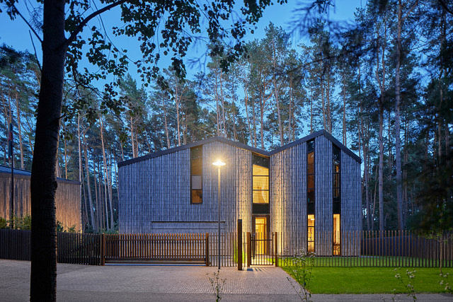 Striking modern cabin nestled in a pine forest, with tall windows and wood siding.