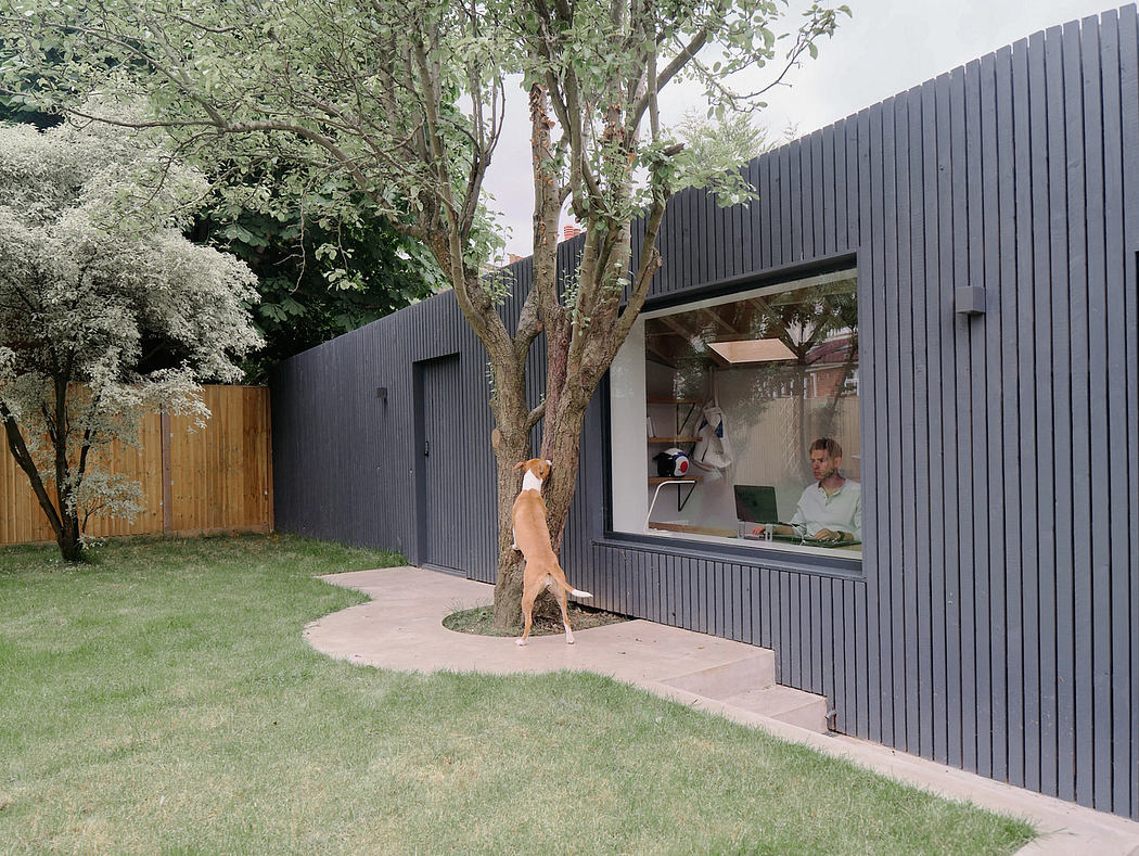 Black siding, large windows, grassy yard, and a dog in the foreground, provide a modern, minimalist aesthetic.