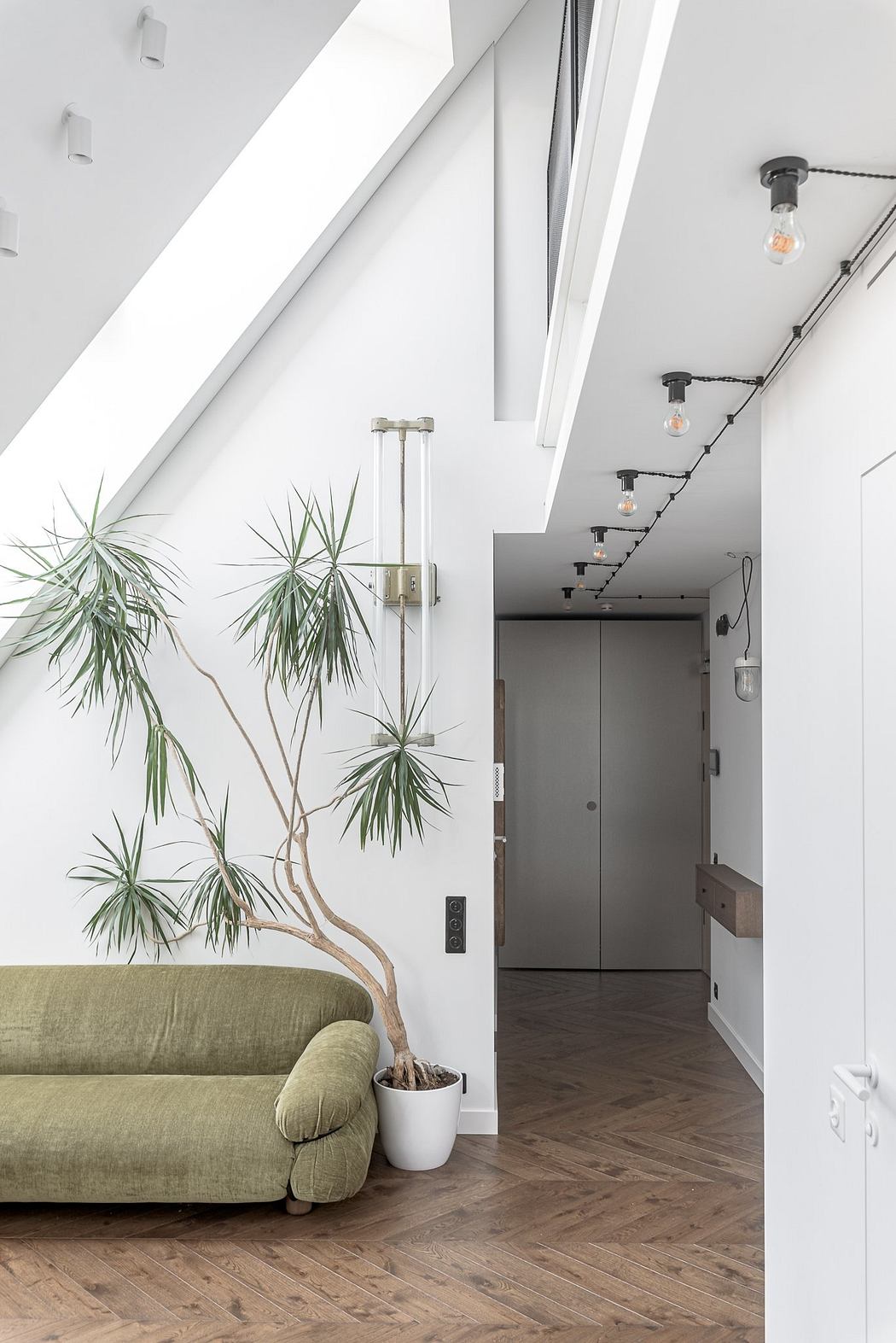 A modern, minimalist living space with lush indoor plants and clean lines throughout.