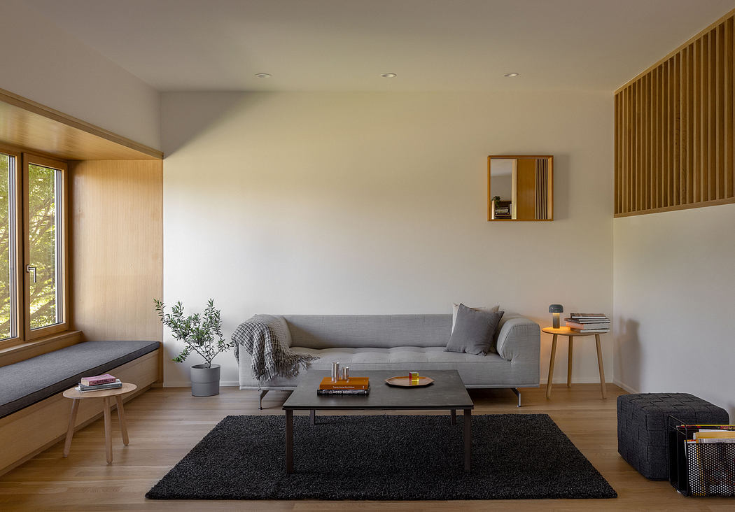 Minimalist living room with gray sofa, wooden accents, and a large black area rug.