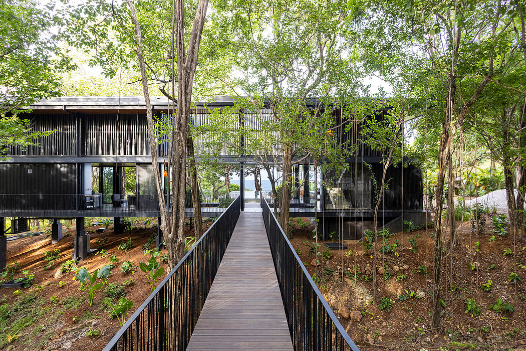 Wooden walkway leading through lush, wooded environment to modern, elevated building.