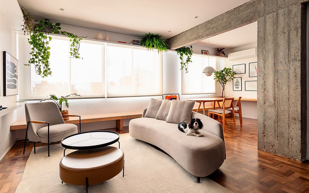 Minimalist living room with concrete walls, large windows, and hanging plants. Cozy furniture and wood flooring.